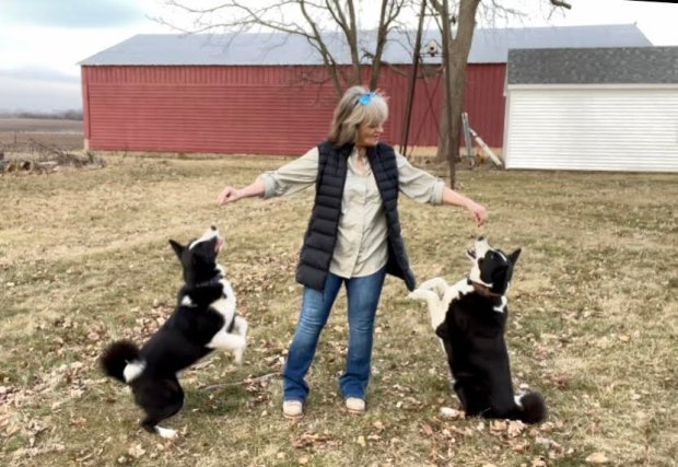 Mary E. Hawthorne of Elburn, shown here with her two dogs Ondi and Simu'k, has trained Simu'k, right, to track lost dogs- Original Credit: Submitted