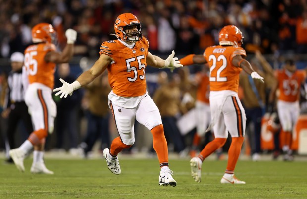 Bears linebacker Dylan Cole (55) celebrates after the Panthers failed to tie the game with a late field goal on Nov. 9, 2023, at Soldier Field. (Chris Sweda/Chicago Tribune)