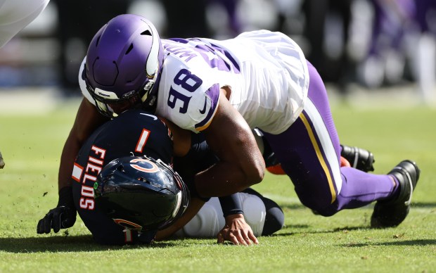 Minnesota Vikings linebacker D.J. Wonnum (98) sacks Chicago Bears quarterback Justin Fields (1) in the first quarter of a game at Soldier Field in Chicago on Oct. 15, 2023. (Chris Sweda/Chicago Tribune)