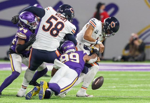 Minnesota Vikings linebacker Danielle Hunter (99) forces Chicago Bears quarterback Justin Fields (1) to fumble the ball leading to a turnover during the fourth quarter at U.S. Bank Stadium in Minneapolis Nov. 27, 2023. (Eileen T. Meslar/Chicago Tribune)