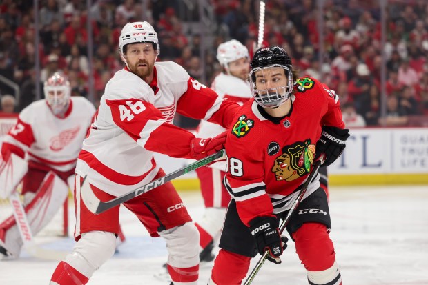 Detroit Red Wings defenseman Jeff Petry (46) guards Chicago Blackhawks center Connor Bedard (98) during the first period at the United Center Sunday Feb. 25, 2024 in Chicago. (Armando L. Sanchez/Chicago Tribune)