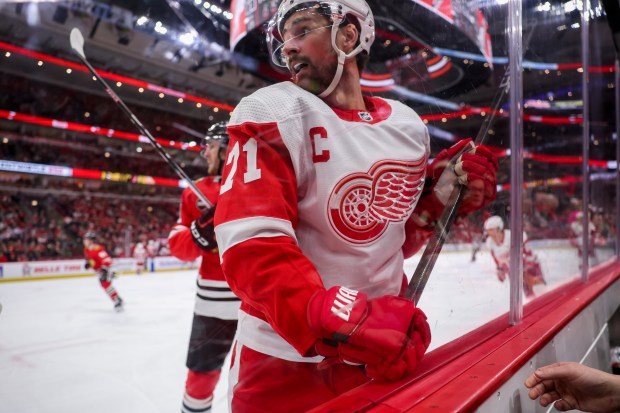 Detroit Red Wings center Dylan Larkin (71) gets pushed against the glass during the second period against the Chicago Blackhawks at the United Center Sunday Feb. 25, 2024 in Chicago. (Armando L. Sanchez/Chicago Tribune)