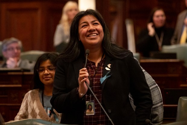 State Rep. Angie Guerrero-Cuellar speaks on the floor, Jan. 10, 2023, at the Illinois State Capitol in Springfield.(Brian Cassella/Chicago Tribune)