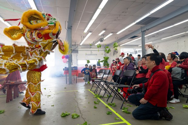 Guests watch as a lion dance is performed to celebrate Lunar New Year on Feb. 11, 2024, at the Brighton Park Community Center. The Year of the Dragon began Saturday. (Brian Cassella/Chicago Tribune)