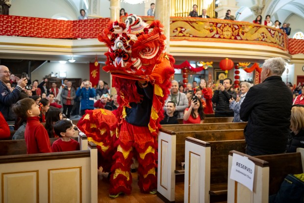 A lion dance is performed down the aisles to celebrate Lunar New Year during Mass on Feb. 11, 2024, at St. Therese Chinese Catholic Church in Chinatown. The Year of the Dragon began Saturday. (Brian Cassella/Chicago Tribune)