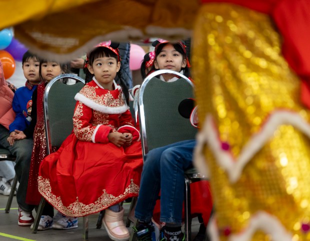 Children watch as a lion dance is performed to celebrate Lunar New Year on Feb. 11, 2024, at the Brighton Park Community Center.(Brian Cassella/Chicago Tribune)