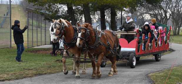 The horse-drawn carriage ride comes to a stop at Winterfest in Vernon Hills at Century Park Arboretum on Feb. 3, 2024.