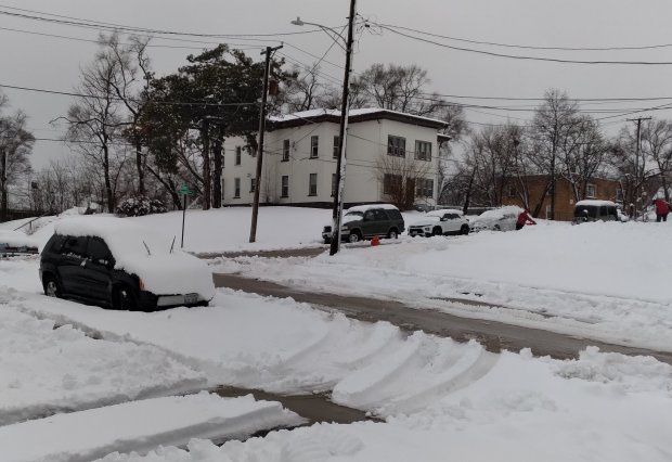 Other than the few eight or so inches that fell in January, there's been no measurable snowfall in Elgin this year. (Gloria Casas/The Courier-News)