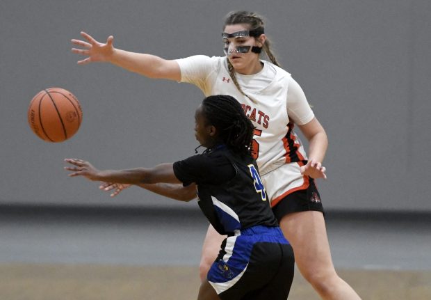 Libertyville's Madison Sears, above, Guards Warren's Shay Love during their Class 4A Grant Regional Championship Basketball final at Grant High School in Fox Lake, Thursday, February 15, 2024. (Michael Schmidt/Lake County News-Sun)