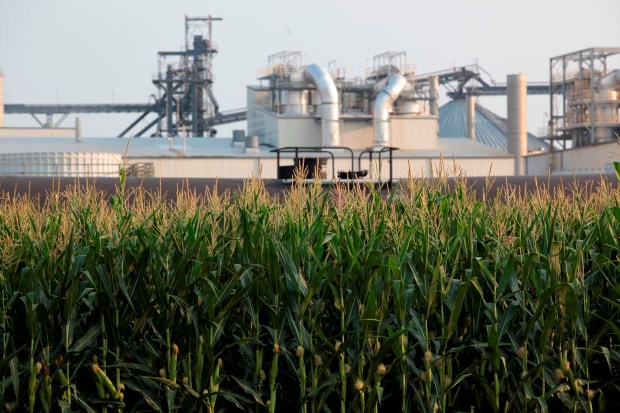 Corn grows in front of an ethanol refinery on July 22, 2021, in Chancellor, S.D. Opponents of planned liquid carbon dioxide pipelines in the Midwest won a victory Wednesday, May 3, 2023, when an Iowa judge ruled that a state law that gives surveyors the right to enter private property is unconstitutional. Pipeline company Navigator CO2 Ventures's planned pipeline would cut through five states Iowa, Illinois, Minnesota, Nebraska and South Dakota and carry carbon dioxide from ethanol and fertilizer processors to a site in Illinois.