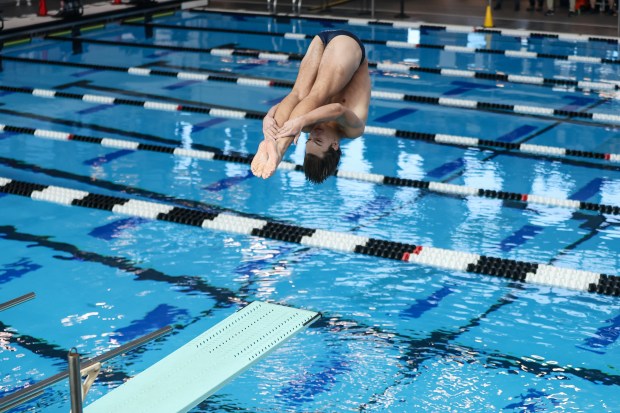 Lincoln-Way East's Nate Jackson dives during the IHSA boys Swimming and Diving State Final meet in Westmont on Saturday, Feb. 24 2024. (Troy Stolt for the Naperville Sun)