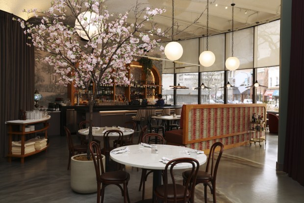 A circular table and lights fill LeTour in Evanston. The French and Moroccan inspired restaurant opened in November.