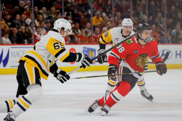 Connor Bedard chases the puck as the Chicago Blackhawks host the Pittsburgh Penguins, Feb. 15, 2024, at the United Center. (Vincent Alban/Chicago Tribune)