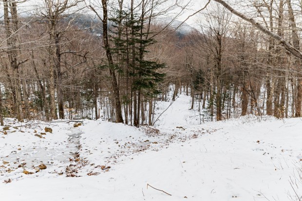 The John Sherburne Ski Trail in New Hampshire, in early January 2024 after multiple December rainstorms left it without enough snow for skiing. The trail is used as the exit route from Mount Washington's famed Tuckerman Ravine. It was cut by the Civilian Conservation Corps in 1934. (Josh Laskin)