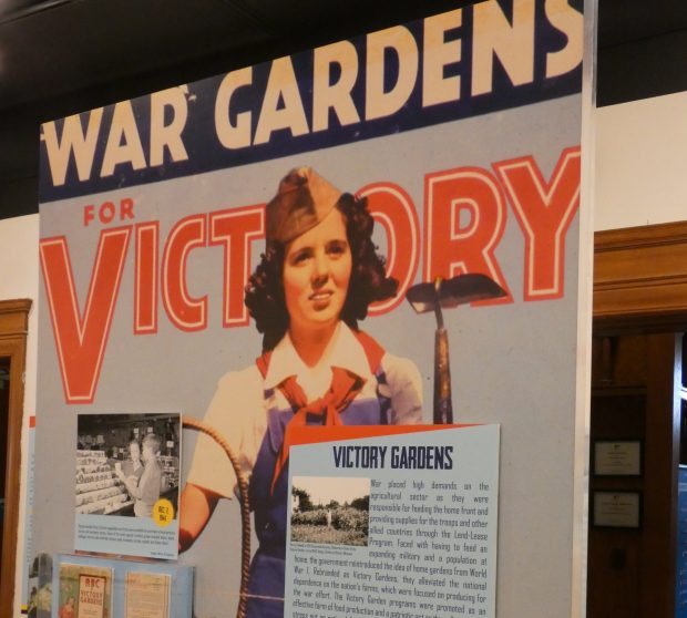 The exhibit will include information on wartime Victory Gardens, forerunners of the home gardens of today. (Graydon Megan)