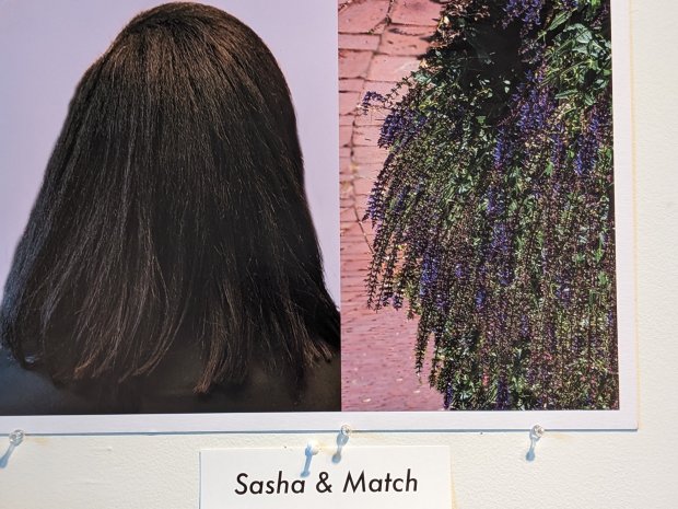 Moraine Valley Community College student Priscilia Sossah compares one model's hair to an array of flowers in a panel from her photo essay "Naturals in Nature," a Black History Month exhibition at the college in Palos Hills.