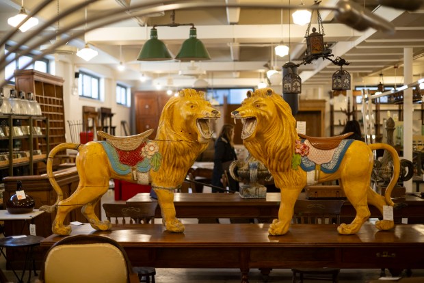 Antique carousel lions, March 10, 2024, at Architectural Artifacts in River North. (Brian Cassella/Chicago Tribune)