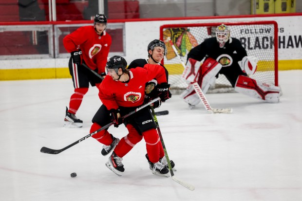 Gavin Hayes handles the puck while being guarded by Connor Bedard during a Blackhawks practice on Sept. 14, 2023, at Fifth Third Arena. (Armando L. Sanchez/Chicago Tribune)