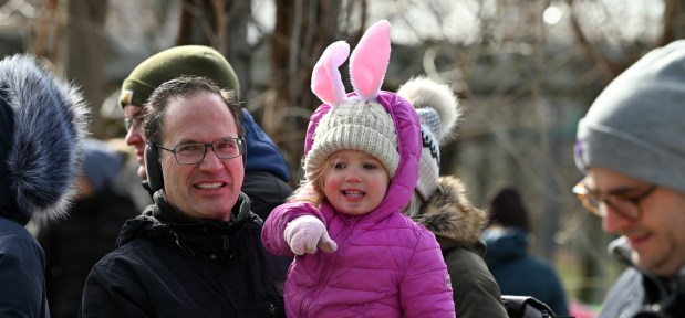 Stella Gruensfelder, 2, of Glenview points out the egg hunt in front of her in the arms of her grandfather David Cushnie of Glenview at EGGstravaganza on March 23, 2024 at Little Bear Park in Glenview. (Karie Angell Luc/Pioneer Press)