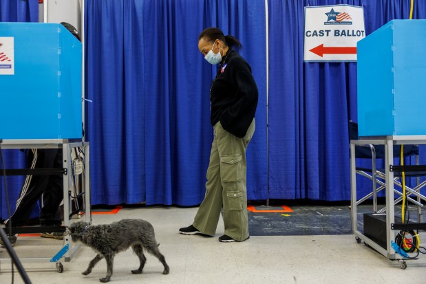 An election worker looks down at a cat named Maria while her owner Tom McNulty votes at the Chicago Board of Elections' Loop Super Site the day before Illinois' primary Election Day on March 18, 2024.(Armando L. Sanchez/Chicago Tribune)