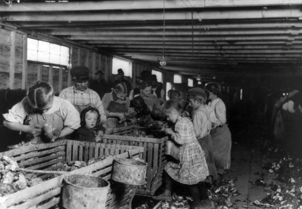 Rosy, an eight-year-old oyster shucker, works steady all day from about 3:00 A.M. to about 5:00 P.M. in Dunbar Cannery in Louisiana, circa 1911. The baby will start working as soon as she can handle the knife. (Lewis Wickes Hine/Library of Congress)