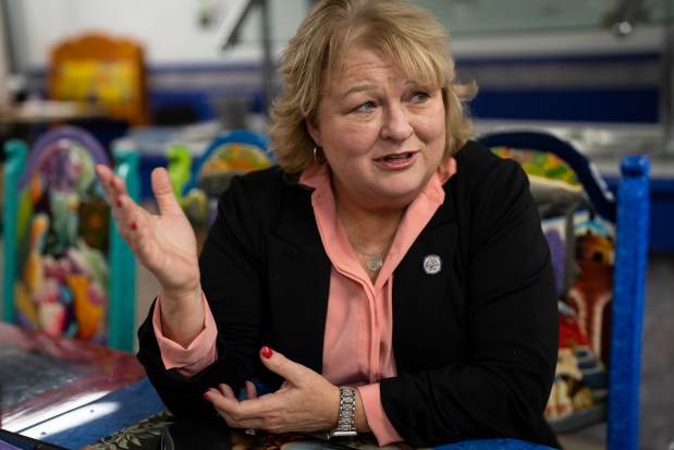 State Sen. Terri Bryant is facing a Republican primary challenge in the 58th district, Jan. 24, 2024. (E. Jason Wambsgans/Chicago Tribune)