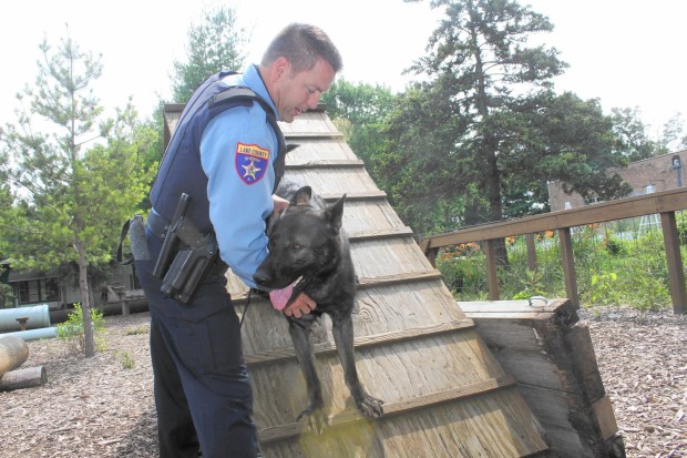 Lake County Deputy John Forlenza praises police dog Dax for a job well done at the obstacle course at TOPS training facility in Grayslake.