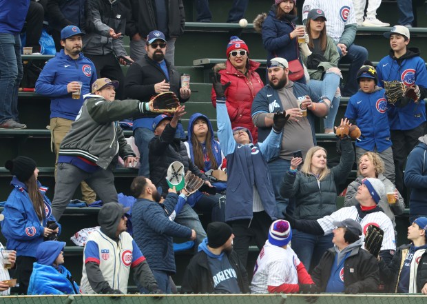 Bleacher fans catch a ball during batting practice before the Chicago Cubs and Colorado Rockies play, April 1, 2024, in the home opener at Wrigley Field. (Brian Cassella/Chicago Tribune)