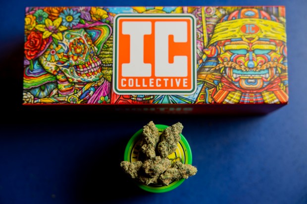 IC Collective marijuana flower at OKAY Cannabis Dispensary. (Vincent Alban/Chicago Tribune)