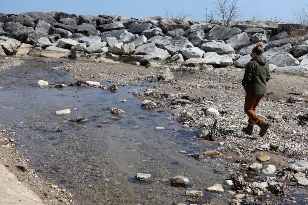 Liz Ricketts, Natural Areas Manager at the Park District of Highland Park, is seen at Rosewood Beach in Highland Park as she checks for white sucker fish activity and records the level and clarity of water in a ravine flowing toward Lake Michigan on Thursday, March 28, 2024. (Terrence Antonio James/Chicago Tribune)
