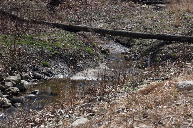 At Rosewood Beach in Highland Park, a ravine flowing toward Lake Michigan is seen on Thursday, March 28, 2024. The ravine has white sucker fish activity, which is important to other fish and wildlife. (Terrence Antonio James/Chicago Tribune)