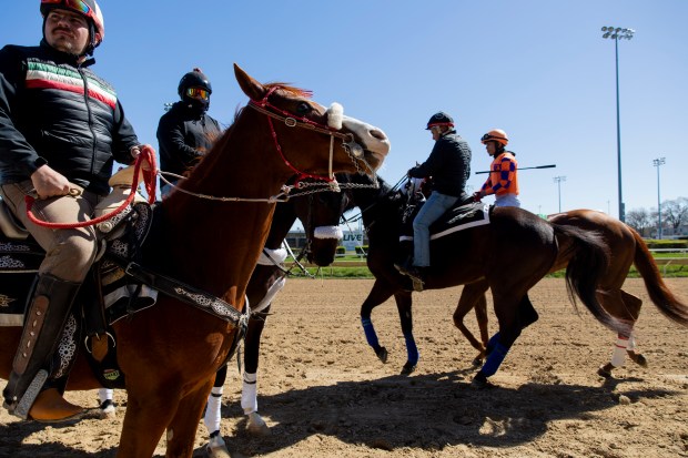 Horses come and go on the race track on April 6, 2024, at Hawthorne Race Course in Stickney. (Vincent Alban/Chicago Tribune)