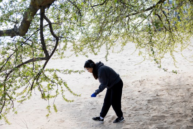 Seila Hul, Loyola University student, collects trash on April 20, 2024, at Hartigan Beach in Chicago. (Vincent Alban/Chicago Tribune)