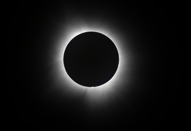 The total solar eclipse as seen from Crab Orchard Lake within Crab Orchard National Wildlife Refuge in Carbondale on April 8, 2024. (Eileen T. Meslar/Chicago Tribune)