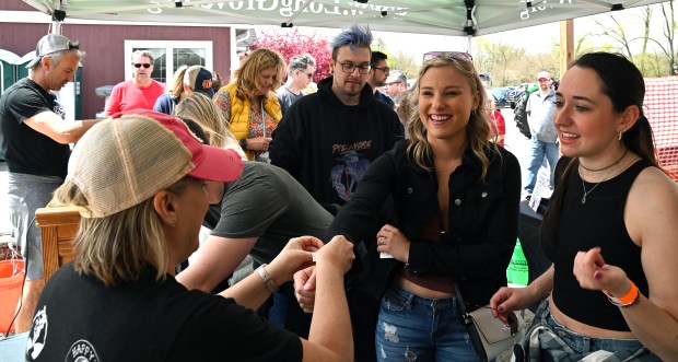 Lower left, Kendra Perri of Long Grove, a volunteer, hands sampler containers to attendees at check-in at the Craft Beer Festival in Long Grove on April 27, 2024. (Karie Angell Luc/Lake County News-Sun)