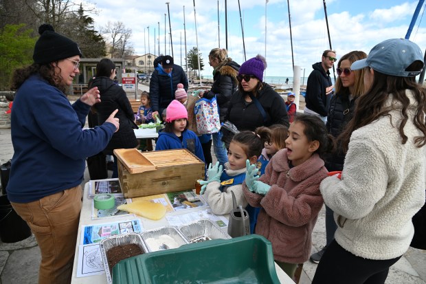 Left, Erika Doroghazi, arts and youth program manager for the Glencoe Park District, explains about beekeeping to patrons and volunteers at the Earth Day Clean-Up event at Glencoe Beach on April 20, 2024 in Glencoe. (Karie Angell Luc/Pioneer Press)