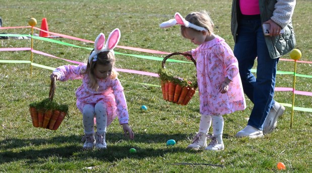 From left to right, the Winnett siblings of Winnetka, Ella, 4, and Clara, 2, collect their 20 eggs each at the annual Egg Hunt in Winnetka at Little Duke Field on March 30, 2024. (Karie Angell Luc/for the Pioneer Press)