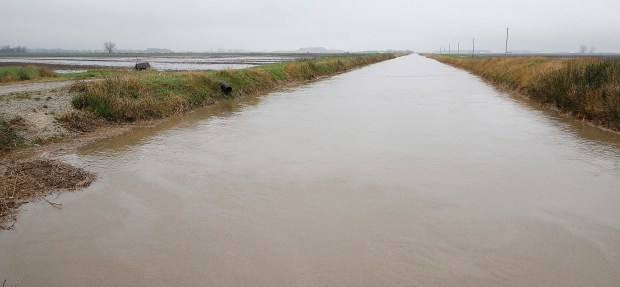 The Singleton Ditch goes under Mississippi Street south of Indiana 2, and is nearly up to the bridge. Due to the more than a week of rain, Lake County drainage ditches that feed into the Kankakee and Calumet rivers are close to overflowing their banks on Tuesday, April 2, 2024. (John Smierciak for the Post-Tribune)