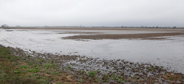 Farm fields near the Singleton Ditch are flooded south of Indiana 2 due to the more than a week of rain, Lake County drainage ditches that feed into the Kankakee and Calumet rivers are close to overflowing their banks on Tuesday, April 2, 2024. (John Smierciak for the Post-Tribune)