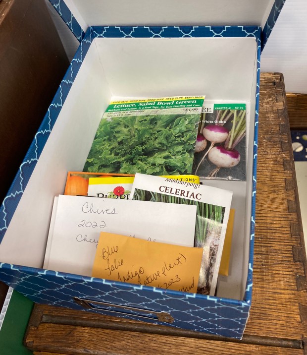 Some donations await sorting before being added to the Blue Island Public Library seed library. They are housed in a designated box. (Melinda Moore/Daily Southtown)