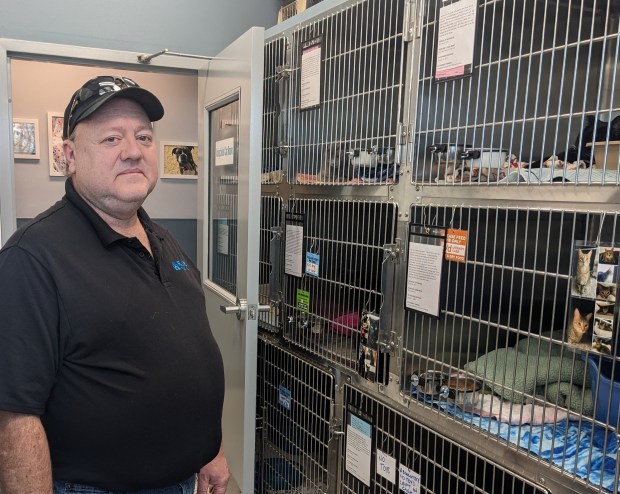 Bradley Rahm, a board member at PAWS Tinley Park who helped renovate the shelter after a fire Jan. 17, stands in the shelter's cat room during a reopening event at the shelter on Sunday. (Janice Neumann/Daily Southtown)