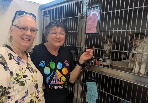 Longtime supporter Pam Franckow, left, and volunteer Susan Safran tour the newly renovated PAWS Tinley Park facility during an event Sunday celebrating its reopening months after a fire in January. (Janice Neumann/Daily Southtown)