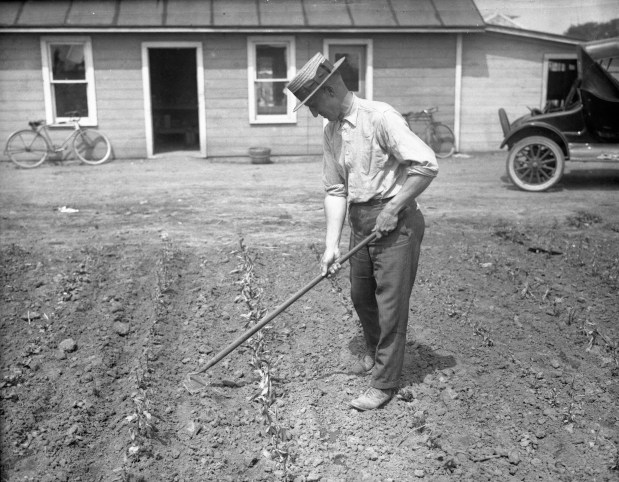 Warren Lincoln at his greenhouse in Aurora, circa 1924. (Chicago Herald and Examiner)