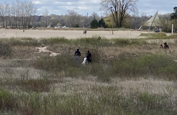 People cleaning the Waukegan Dunes along the beach spread out to pick up trash. (Steve Sadin/Lake County News-Sun)