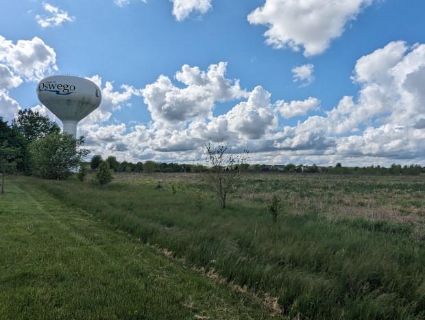 The Breybourne Cricket Stadium will one day sit atop this open field on the northwest corner of Orchard Road and Tuscany Trail in Oswego. (R. Christian Smith / The Beacon-News)