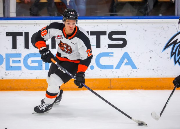 Cayden Lindstrom of the Medicine Hat Tigers plays the puck against the Winnipeg Ice during the WHL playoffs on April 1, 2023, in Winnipeg, Manitoba. (Jonathan Kozub/Getty)