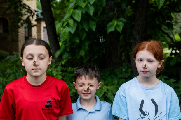 Bryn Wangler, 11, from left, Ethan Wangler, 7, and Ellie Wangler, 9, with cicadas on May 28, 2024, outside their home in Lisle. (Vincent Alban/Chicago Tribune)