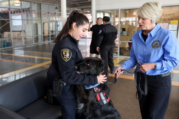 Trooper the dog hugs Elgin police Officer Maria Nunez, left, as Jennifer Wooldridge, Illinois Law Enforcement Training and Standards Board deputy director of operations, right, holds onto Trooper's leash during a Crisis Intervention Training at Cicero Community Center on May 16, 2024. Trooper is the Illinois Law Enforcement Training and Standards Board's first therapy dog. (Eileen T. Meslar/Chicago Tribune)