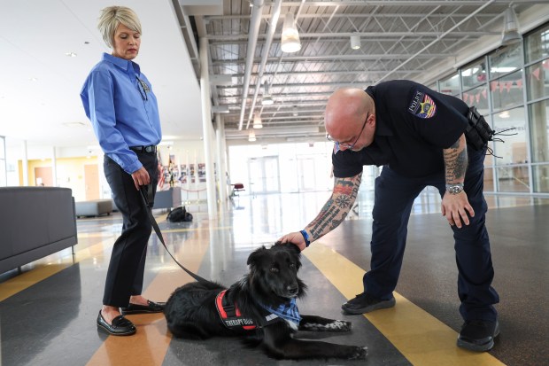 Willow Springs police officer Thomas Hoffman, right, pets Trooper, the Illinois Law Enforcement Training and Standards Board's first therapy dog, as his handler, Jennifer Wooldridge, holds onto his leash during Crisis Intervention Training at Cicero Community Center on May 16, 2024. (Eileen T. Meslar/Chicago Tribune)