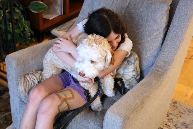 Natalie Sieracki, 9, who was severely bitten by an unleashed dog at Horner Park in Chicago, plays with her dog, Teddy, at home on May 7, 2024. (Terrence Antonio James/Chicago Tribune)